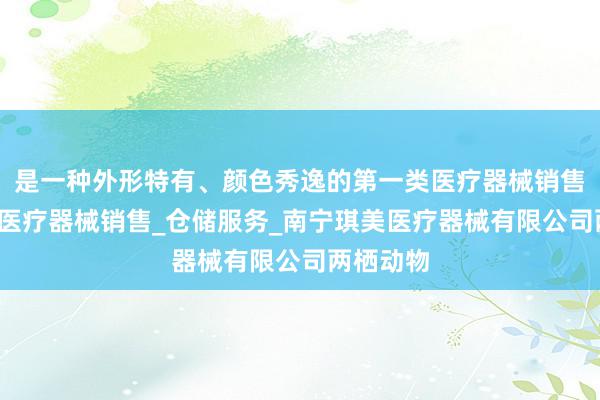 是一种外形特有、颜色秀逸的第一类医疗器械销售_第二类医疗器械销售_仓储服务_南宁琪美医疗器械有限公司两栖动物